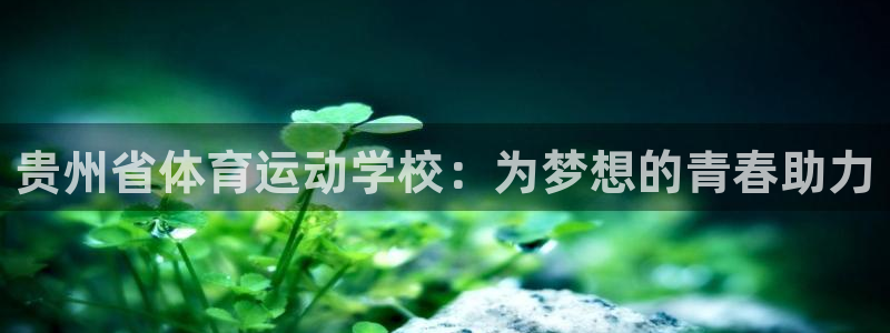风速体育app下载安装最新版本