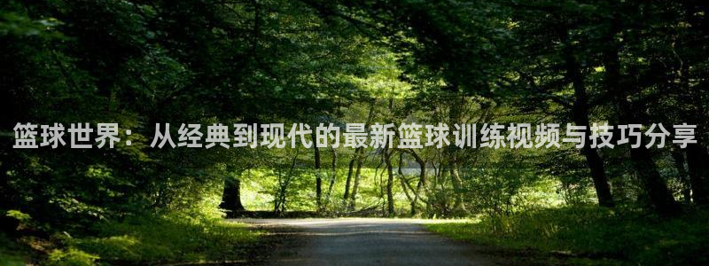 风速体育下载