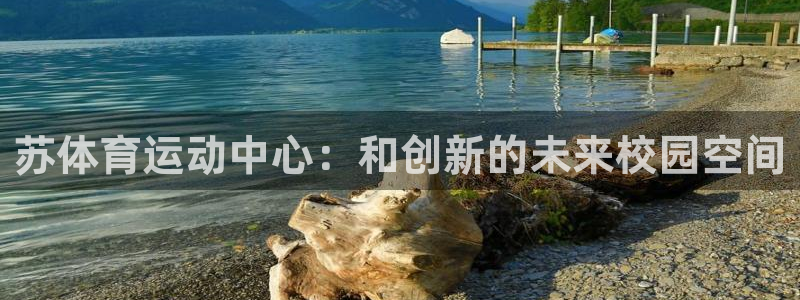 风速体育