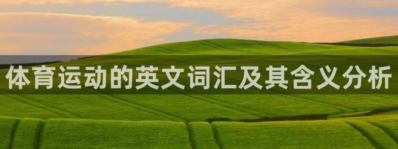 风速体育nba免费直播：体育运动的英文词汇及其含义分析