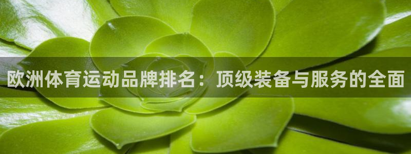 风速体育直播app：欧洲体育运动品牌排名：顶级装备与服务的全面