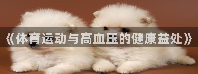 风速体育nba免费直播：《体育运动与高血压的健康益处》