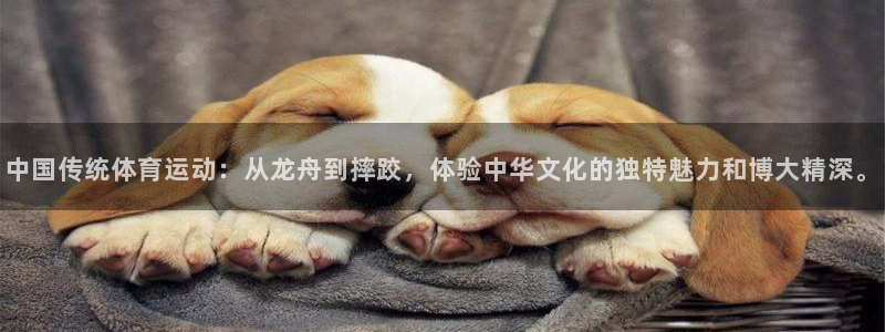 风速体育app下载安装最新版本：中国传统体育运动：从龙舟到摔跤，体验中华文化的独特魅力和博大精深。