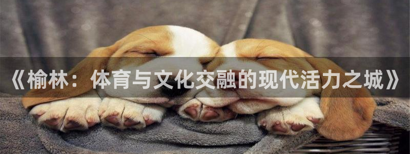 风速体育下载：《榆林：体育与文化交融的现代活力之城》