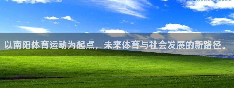 风速体育下载：以南阳体育运动为起点，未来体育与社会发展的新路径。