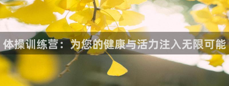 风速体育：体操训练营：为您的健康与活力注入无限可能